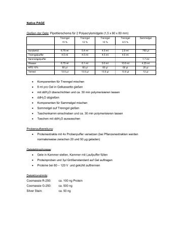 Native PAGE GieÃen der Gele: Pipettierschema fÃ¼r 2 ...