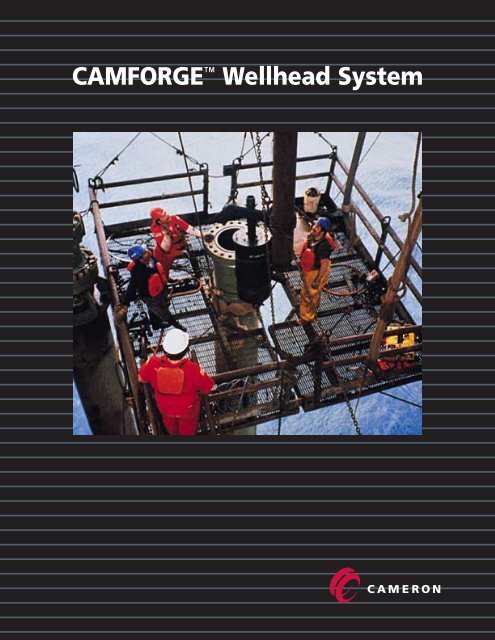 CAMFORGE single pp - cedip
