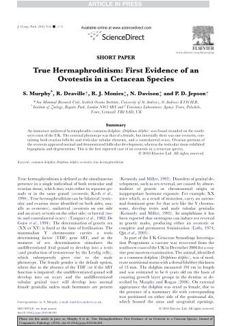 True Hermaphroditism: First Evidence of an Ovotestis in a Cetacean ...