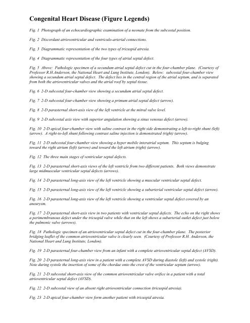 ESSENTIALS OF ECHOCARDIOGRAPHY #4 - Echo in Context