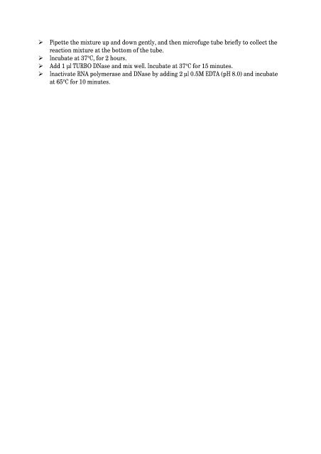 Synthesis of ARCA capped mRNA