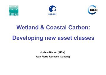 IUCN and Danone mangrove carbon presentation - The Wetland ...