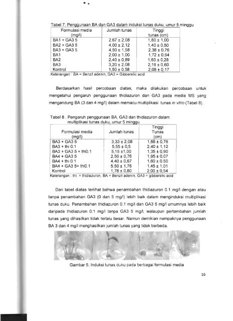 LAPORAN AKHIR - KM Ristek