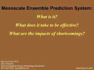 Mesoscale Ensemble Prediction System