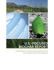 U.S.-FocUSed Biochar report - BioEnergy Lists