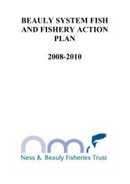 BEAULY SYSTEM FISH AND FISHERY ACTION PLAN ... - RAFTS