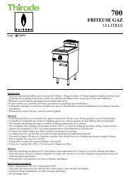 FRITEUSE GAZ - thirode