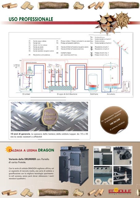 Ecojoule - Energia Sostenibile | Brochure Generale Biomasse - Edilio