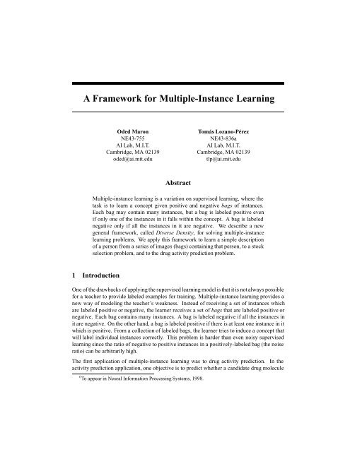 A Framework for Multiple-Instance Learning