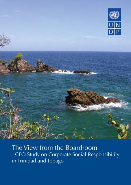 The View from the Boardroom - UNDP Trinidad and Tobago