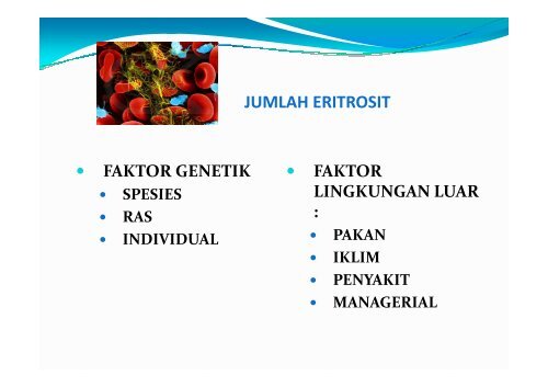 fungsi biologik darah - Blogs Unpad