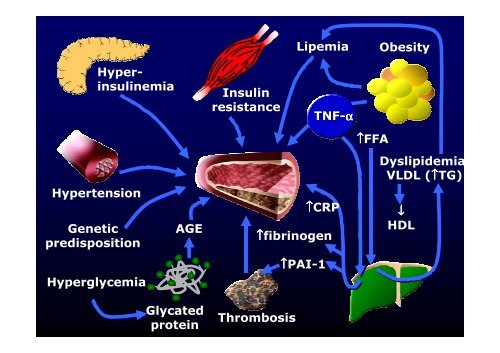 La cardiopatia ischemica - Cuorediverona.it