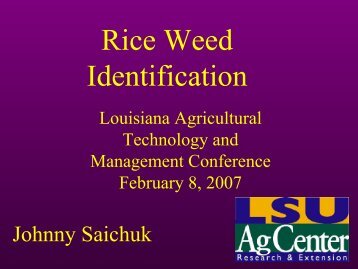 Rice Weed Identification - Louisiana Agricultural Consultants ...