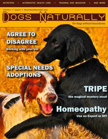 Homeopathy TRIPE - Dogs Naturally Magazine