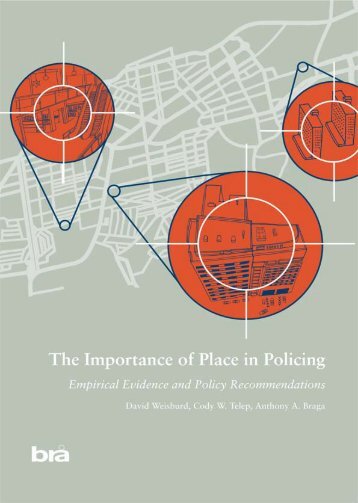 The Importance of Place in Policing - Empirical Evidence and Policy ...