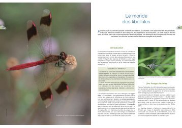 Monde des libellules - Extraits