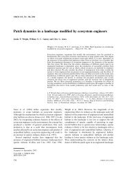 Patch dynamics in a landscape modified by ecosystem engineers