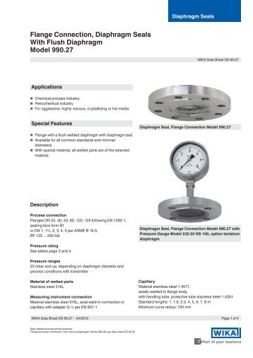 Flange Connection, Diaphragm Seals With Flush ... - BKW Instruments