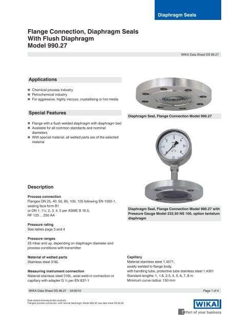 Flange Connection, Diaphragm Seals With Flush ... - BKW Instruments