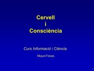 Cervell i Consciència