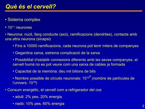 Cervell i Consciència