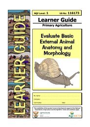 Evaluate Basic External Animal Anatomy and Morphology - AgriSETA