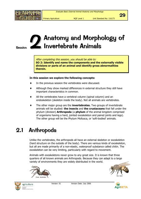 Evaluate Basic External Animal Anatomy and Morphology - AgriSETA
