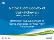 Restoration and Maintenance of Fescue Grasslands in Prince Albert ...