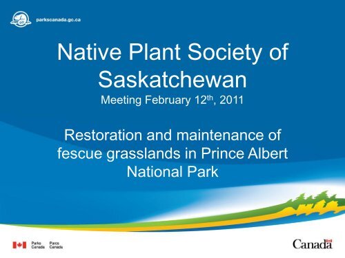 Restoration and Maintenance of Fescue Grasslands in Prince Albert ...