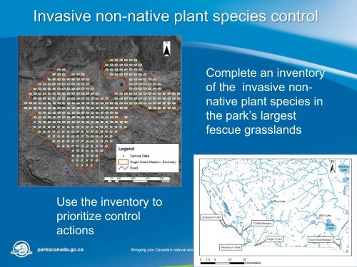 Restoration and Maintenance of Fescue Grasslands in Prince Albert ...