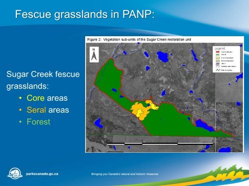 Restoration and Maintenance of Fescue Grasslands in Prince Albert ...