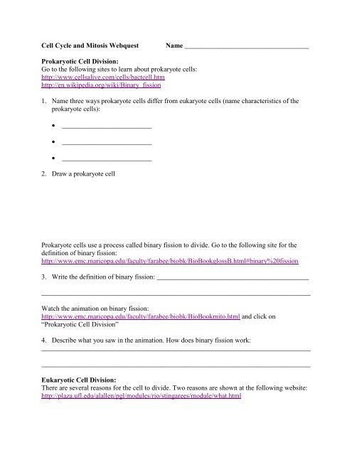 Featured image of post Cell Cycle And Mitosis Worksheet Answer Key Pdf Mitosis is the process that all normal body cells somatic cells use to divide into two new daughter cells