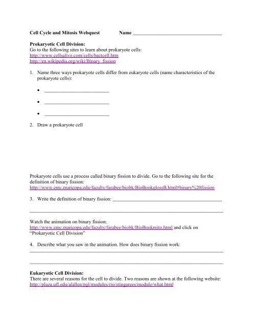 Cell Cycle and Mitosis Webquest