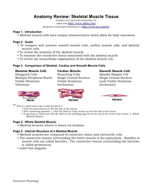 Skeletal Cardiac And Smooth Muscle Chart