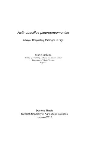 Actinobacillus pleuropneumoniae - SLU