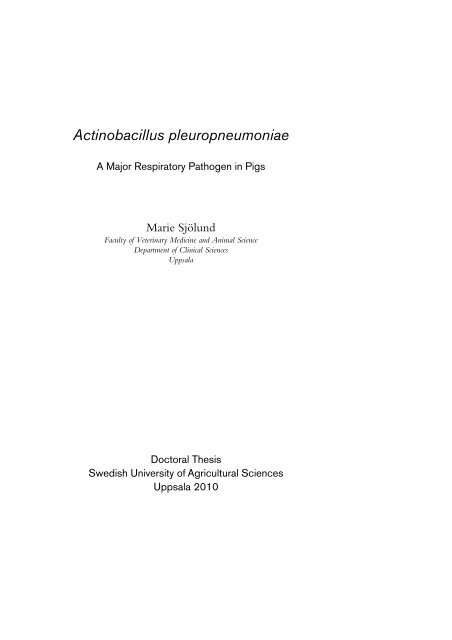 Actinobacillus pleuropneumoniae - SLU