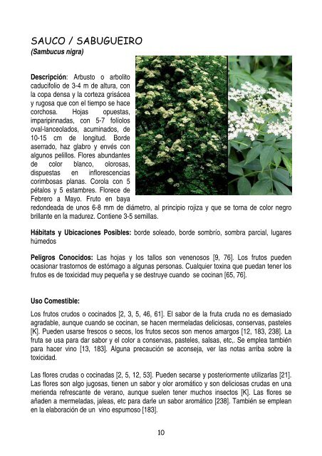 plantas-y-frutos-silvestres-comestibles-dr-cesar-lema-costas