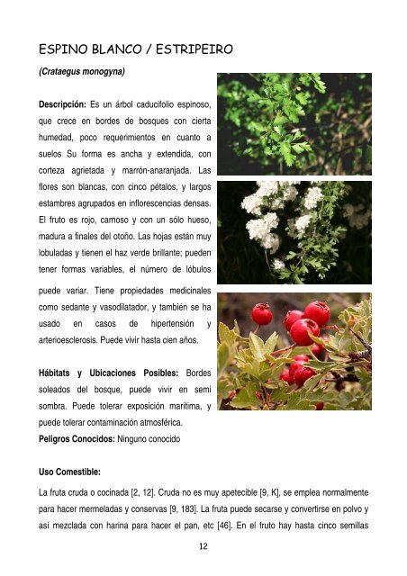 plantas-y-frutos-silvestres-comestibles-dr-cesar-lema-costas
