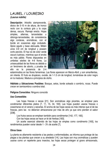 plantas-y-frutos-silvestres-comestibles-dr-cesar-lema-costas