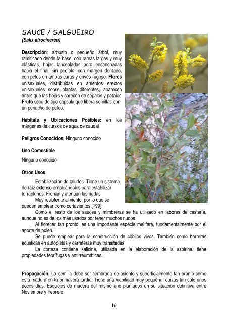 plantas-y-frutos-silvestres-comestibles-dr-cesar-lema-costas