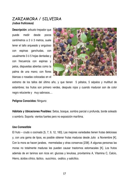 plantas-y-frutos-silvestres-comestibles-dr-cesar-lema-costas