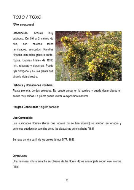 plantas-y-frutos-silvestres-comestibles-dr-cesar-lema-costas