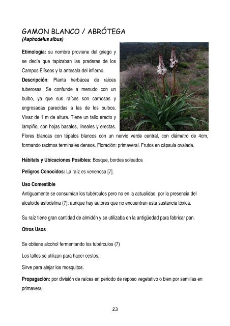 plantas-y-frutos-silvestres-comestibles-dr-cesar-lema-costas