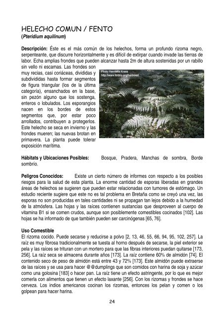 plantas-y-frutos-silvestres-comestibles-dr-cesar-lema-costas
