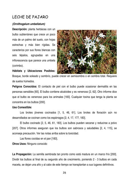 plantas-y-frutos-silvestres-comestibles-dr-cesar-lema-costas