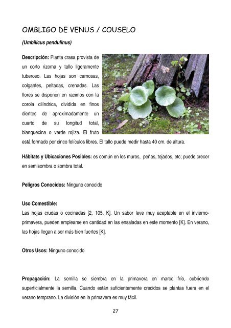 plantas-y-frutos-silvestres-comestibles-dr-cesar-lema-costas