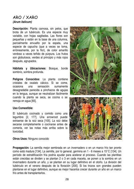 plantas-y-frutos-silvestres-comestibles-dr-cesar-lema-costas