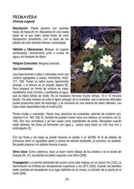 plantas-y-frutos-silvestres-comestibles-dr-cesar-lema-costas