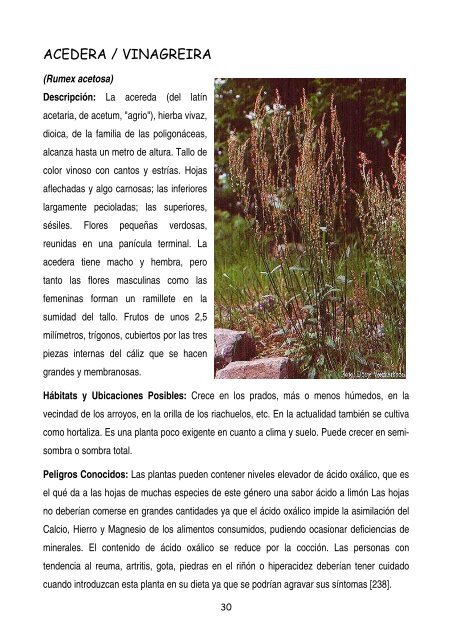 plantas-y-frutos-silvestres-comestibles-dr-cesar-lema-costas