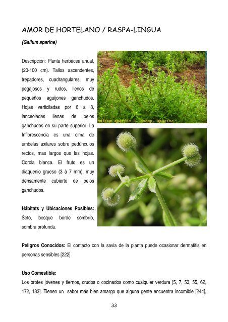 plantas-y-frutos-silvestres-comestibles-dr-cesar-lema-costas